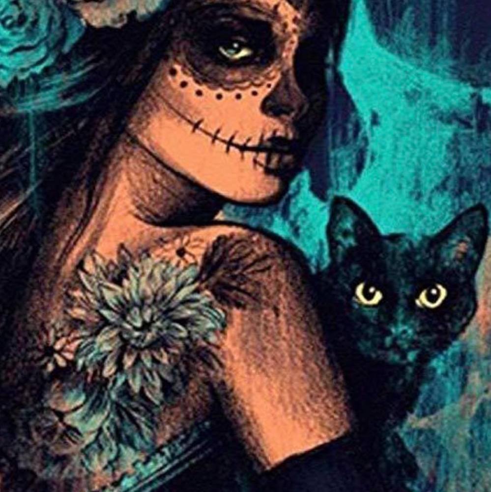 Meet your Posher, Nolfa aida